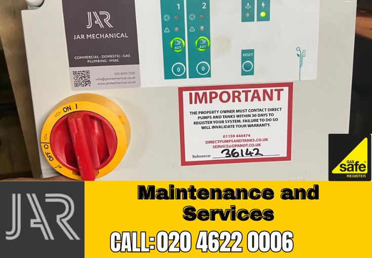 Domestic Maintenance and Services Lewisham